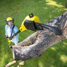 Best Arborist Consultation Services  in Hyde Park, UT